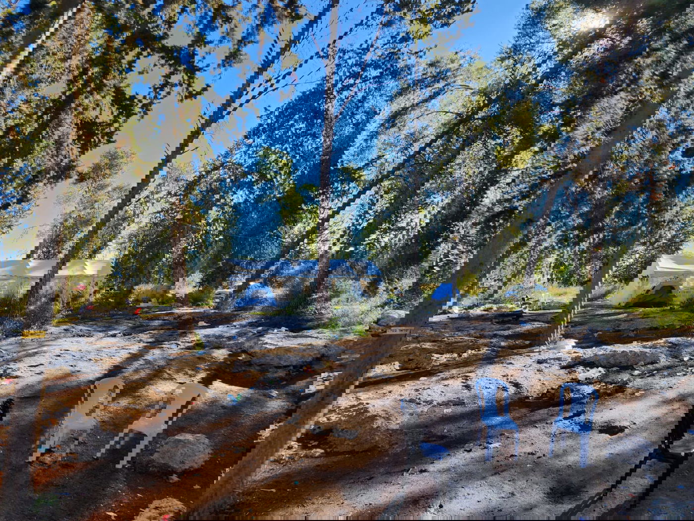 אוהלים סביב קבר מתתיהו זאת חנוכה תשפ"ד