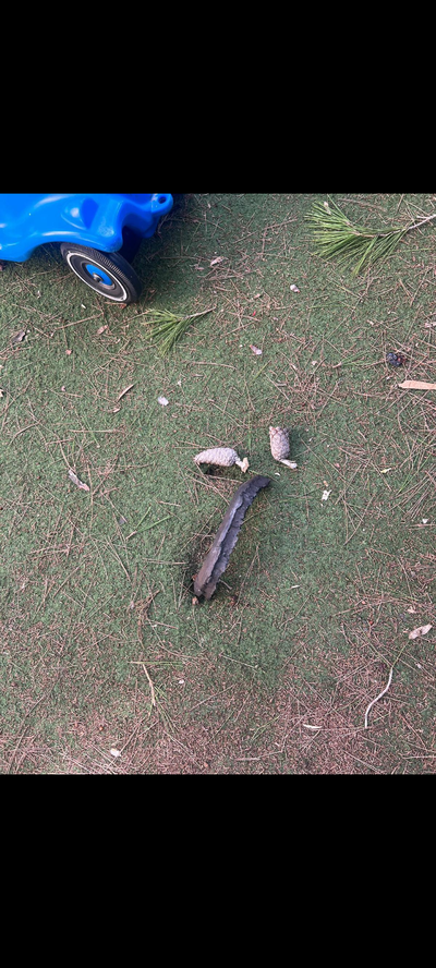 רגע לפני שהילדים יצאו לשחק בגינה - שרידי רקטה שנורתה לירושלים אותרו בשטח הגן