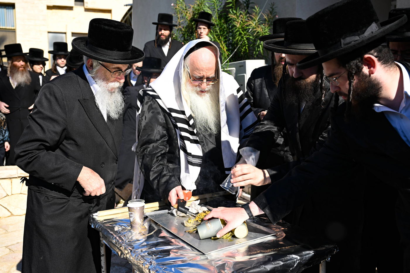 זאת חנוכה בצאנז