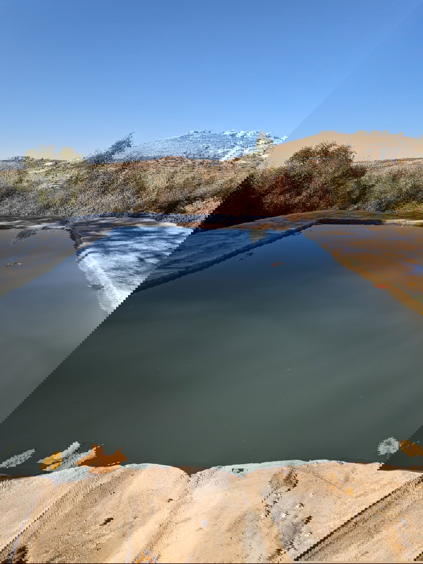 המעיין החדש בעיינות ענר