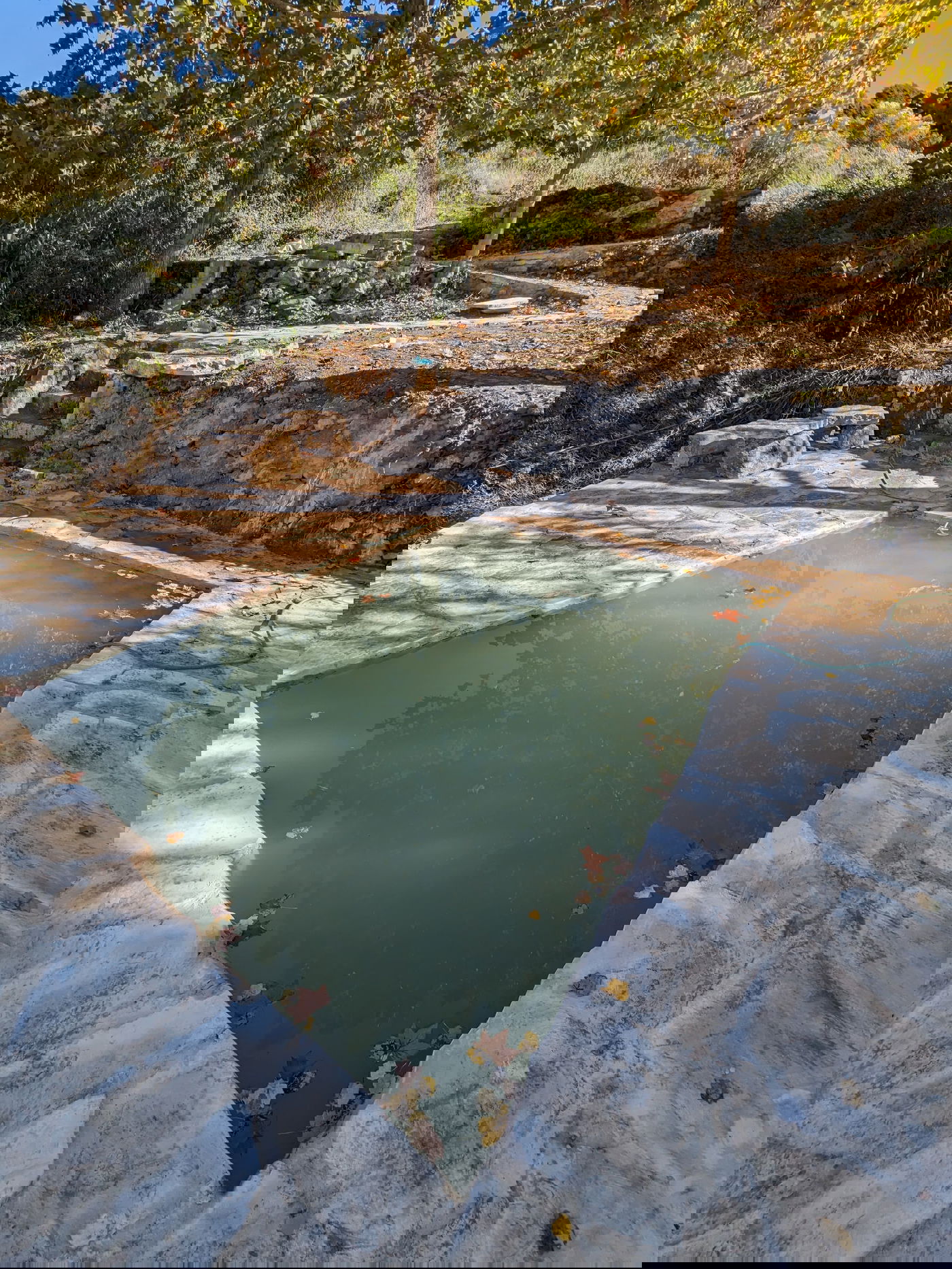 המעיין החדש בעיינות ענר