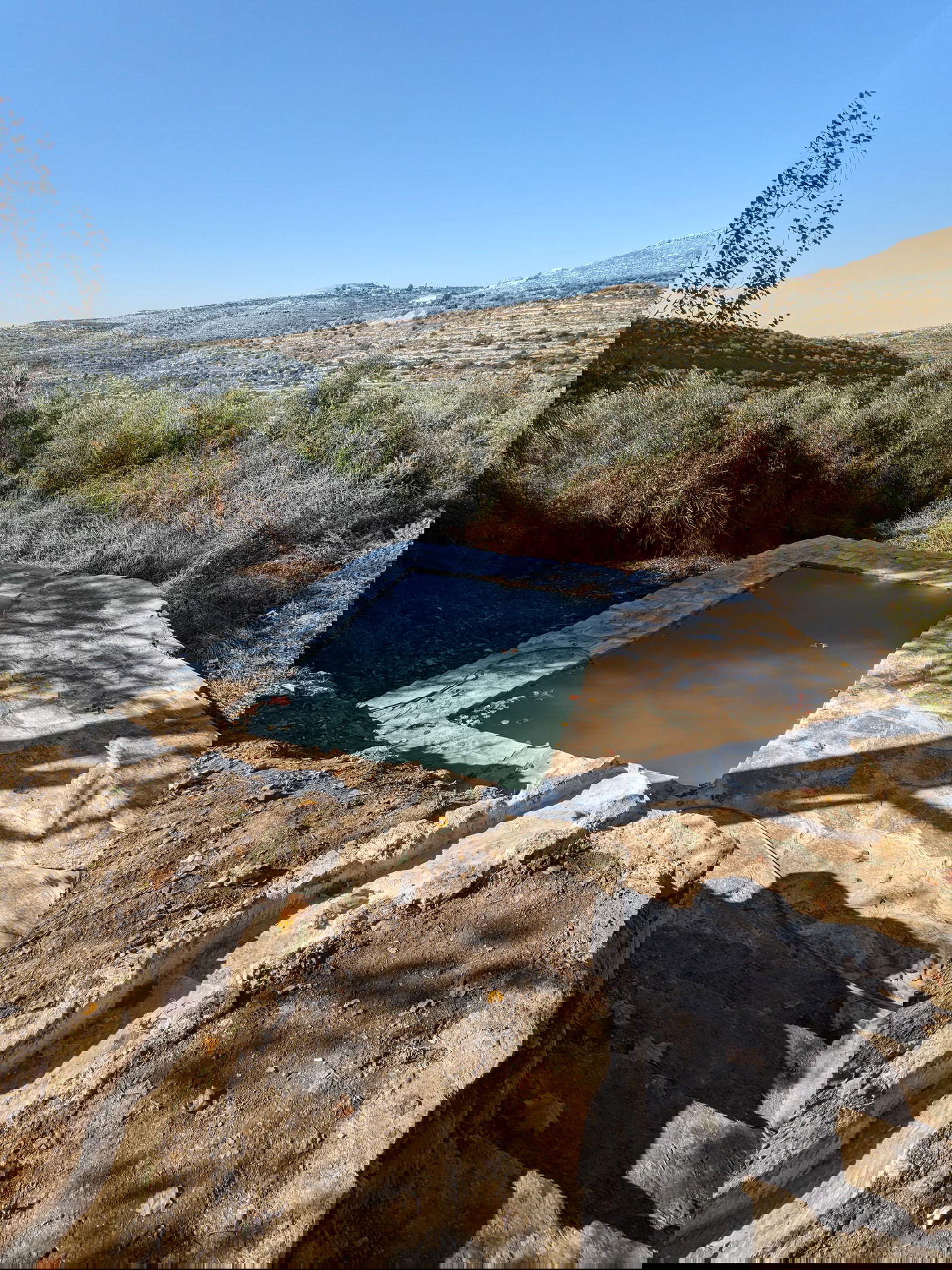 המעיין החדש בעיינות ענר