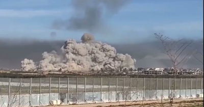 מתוך הסרטון