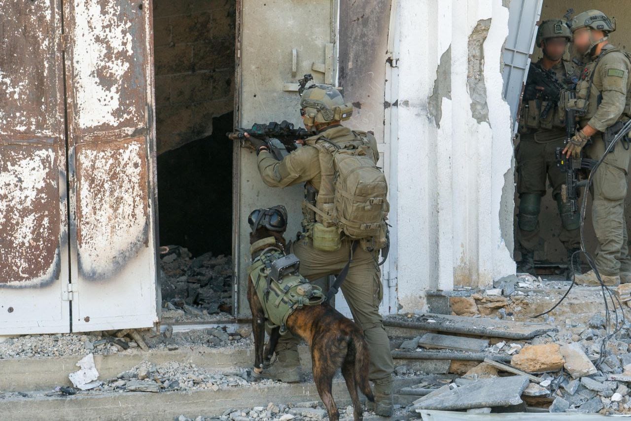 הלוחמים בסג'עאיה