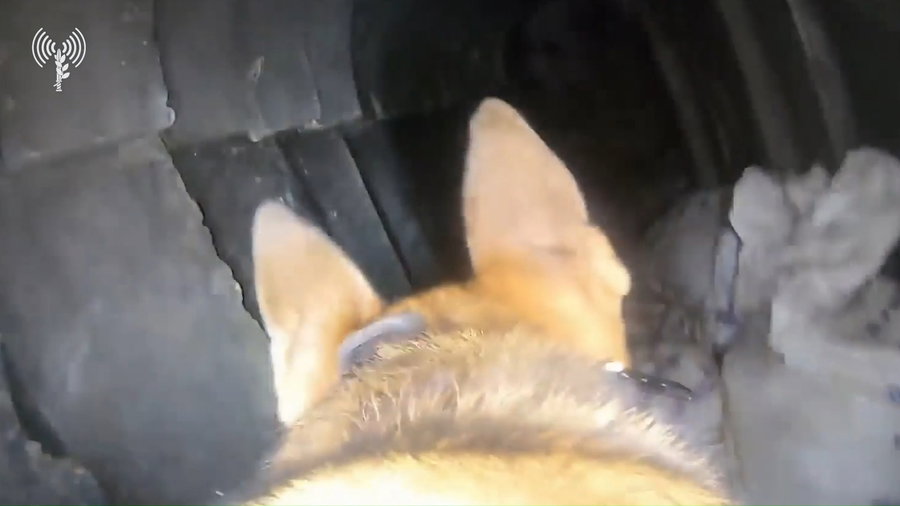 כלי עוקץ בתוך המנהרה