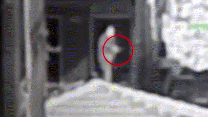 חיסול מחבלים במלחמה | ארכיון