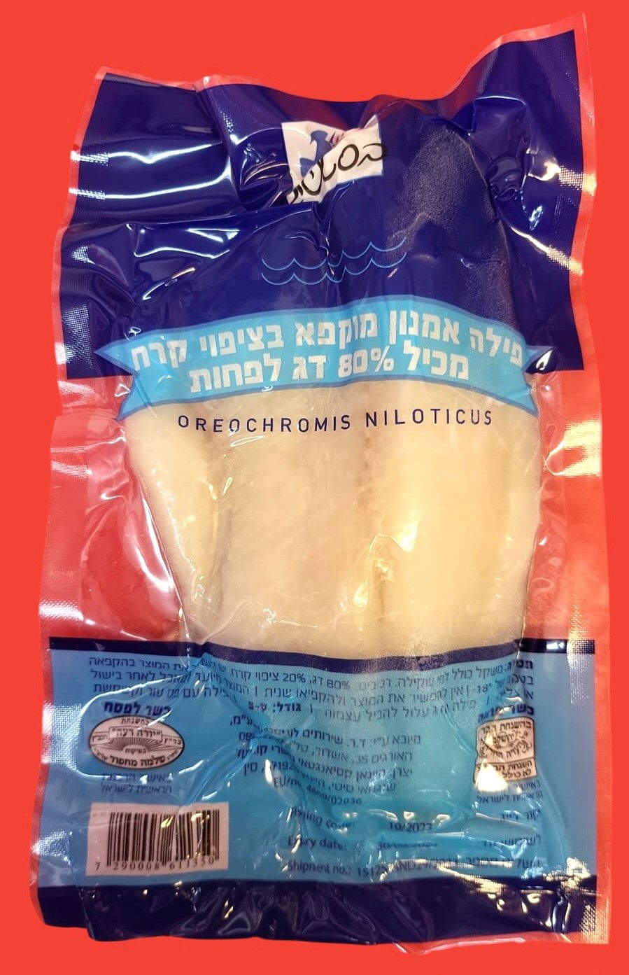 דג המושט והריקול