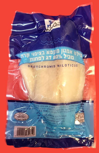 דג המושט והריקול