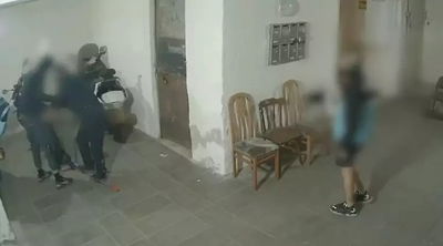 הגנבים בפעולה