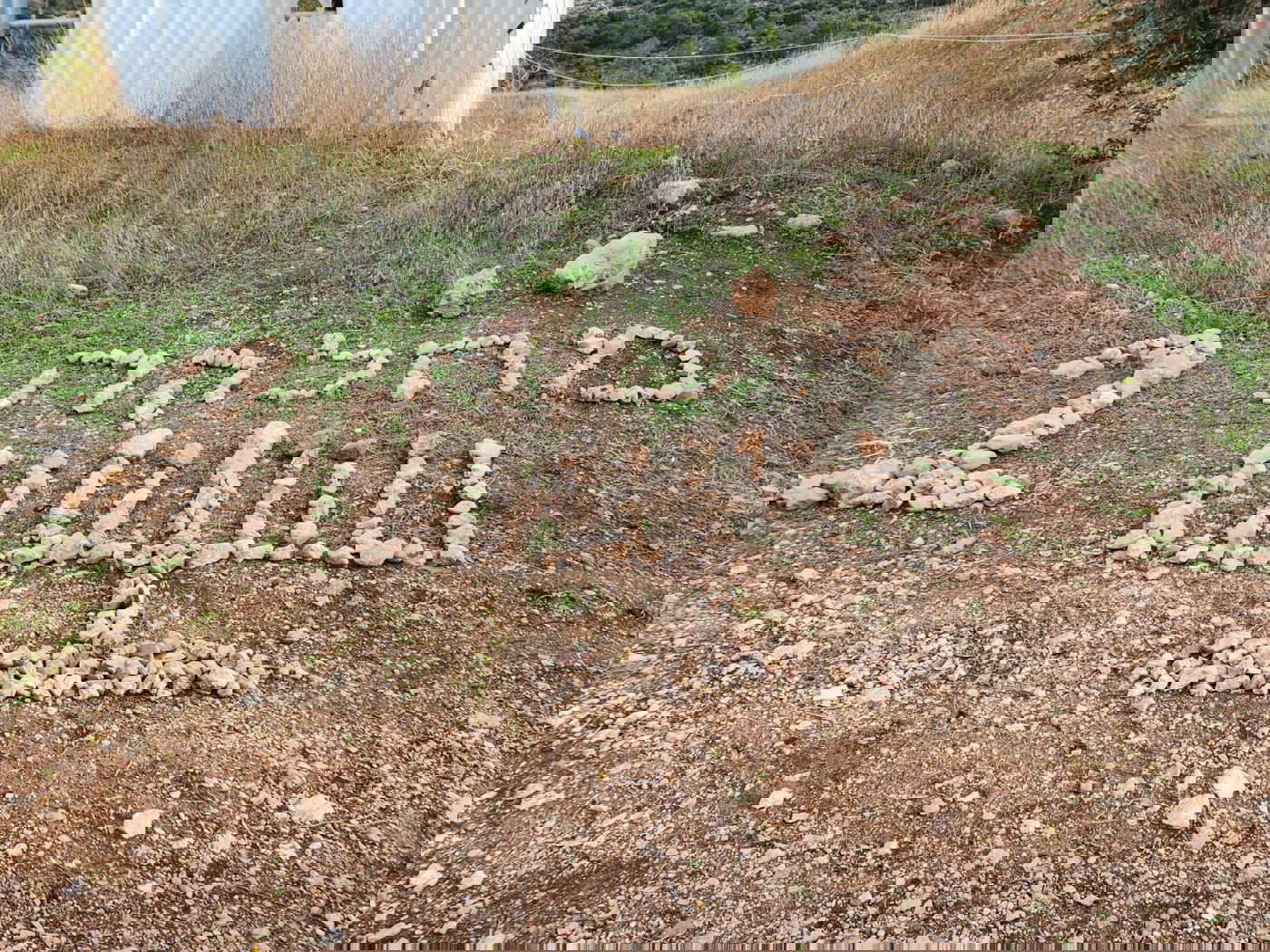 מה
מביא מיליונר חרדי - לעזוב הכל, להתגייס ולקבל פקודות ממפקד בן 23? | ריאיון