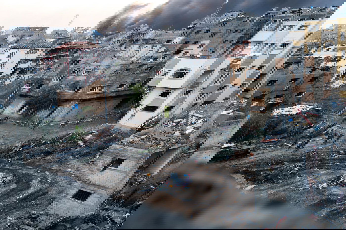 פעילות כוחות אוגדה 36 בשג'עייה