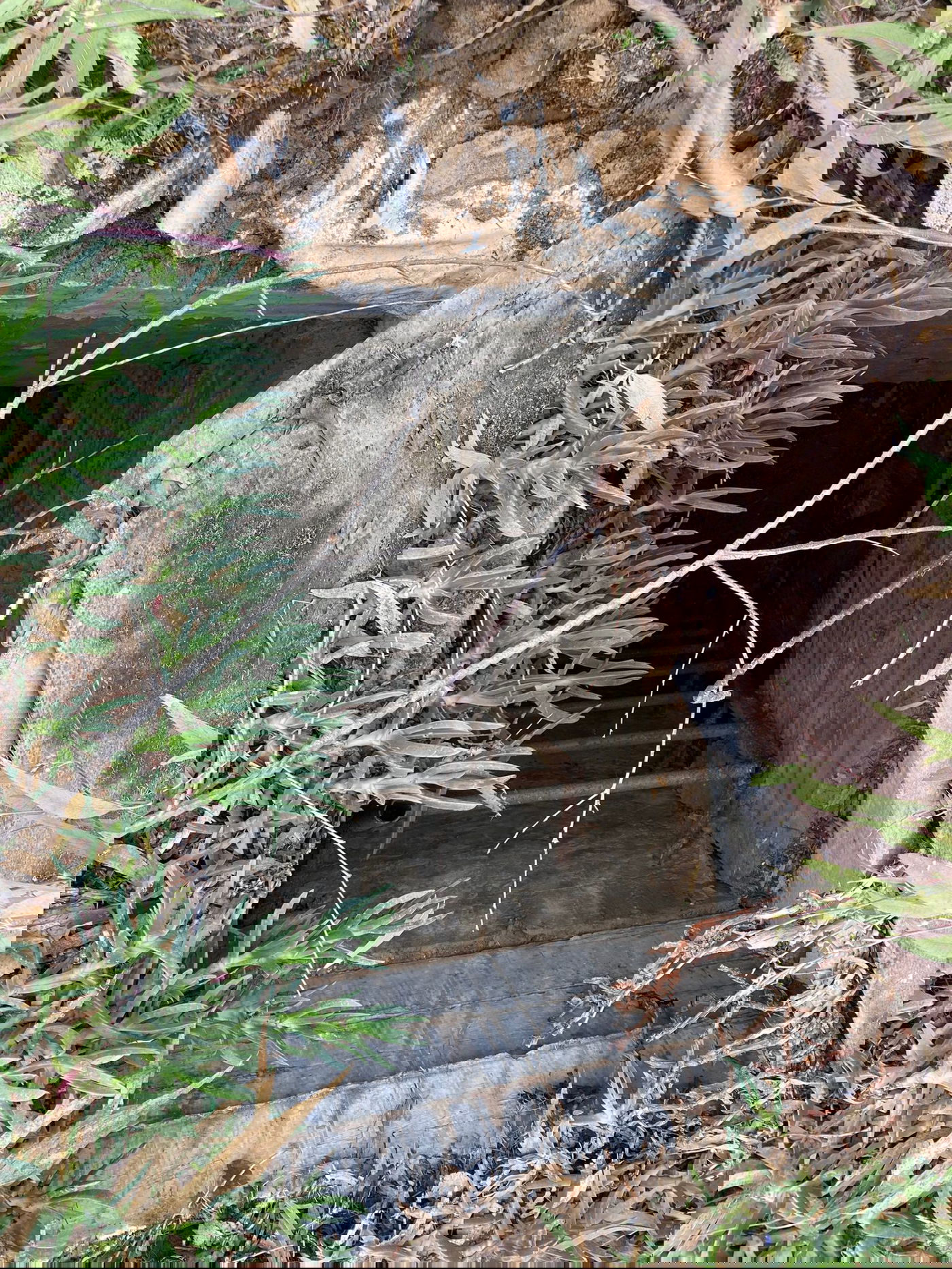 פיר מנהרה ואמצעי לחימה שאיתרו הלוחמים במחנה אל בורייג׳ ממחנות המרכז