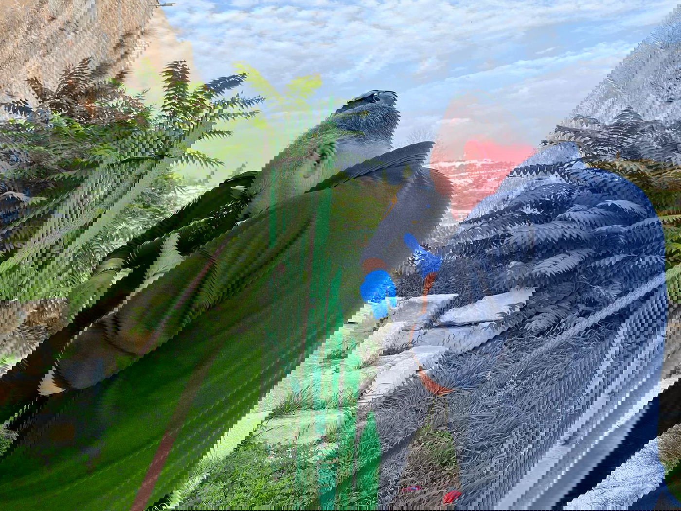 המשטרה עצרה חשוד בחשד שתלה ראש כרות של חמור בבית קברות בירושלים