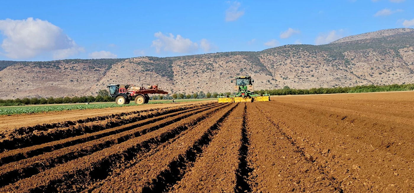 רגבי ארץ נחלת אבותינו. שדה בצפון 