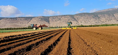 רגבי ארץ נחלת אבותינו. שדה בצפון 
