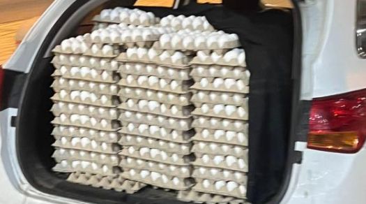 7000 ביצים מהשטחים נתפסו, רגע לפני שהוכנסו לירושלים