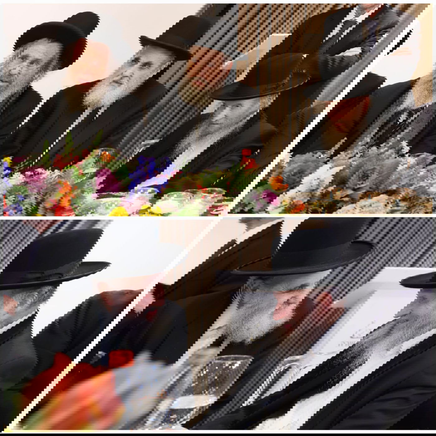 זופניק בכיכר • כל התמונות, הנייעס והחשיפות של השבוע