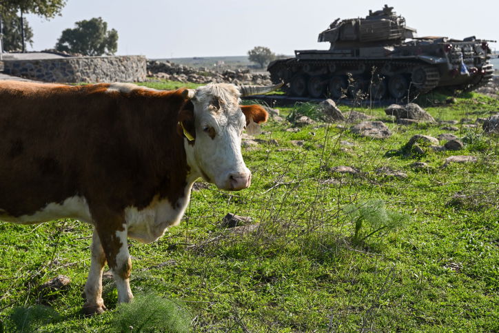 התחזית: טמפרטורות גבוהות מהרגיל; מתי הגשם יחזור?