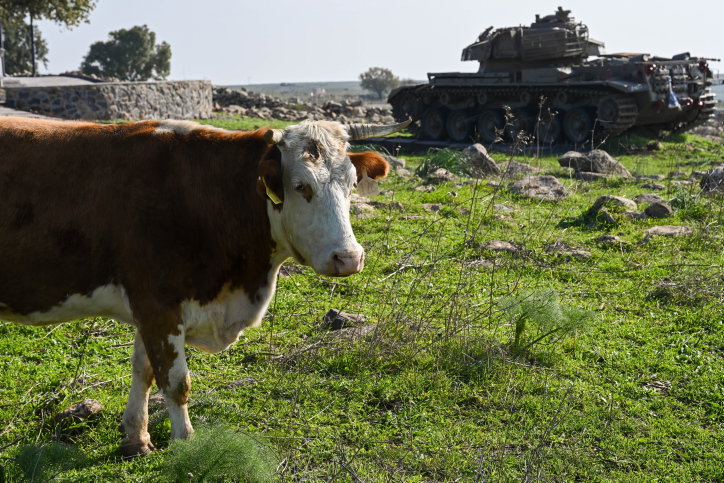 התחזית: טמפרטורות גבוהות מהרגיל; מתי הגשם יחזור?