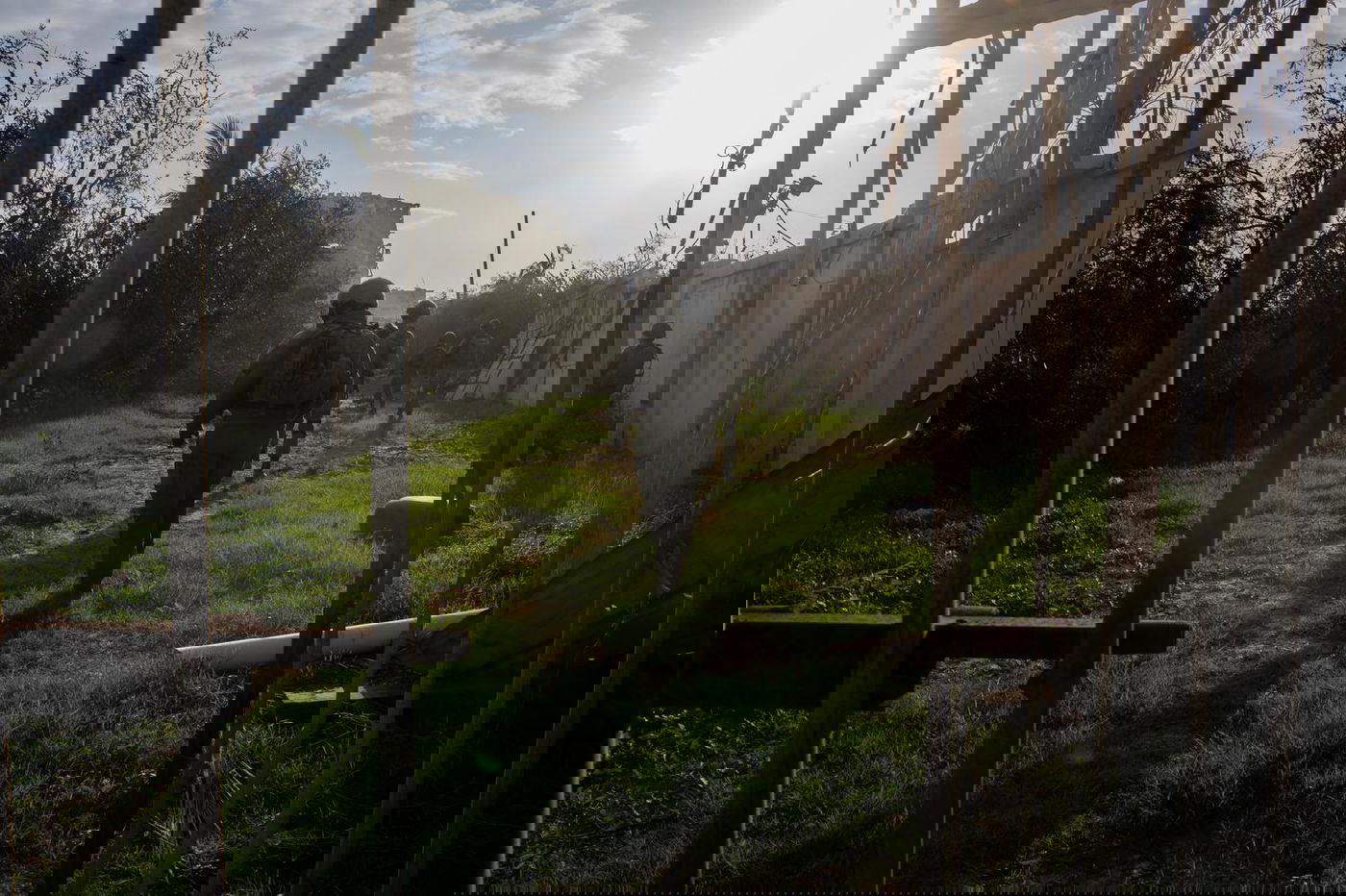 פעילות כוחות צה"ל בשטח הרצועה