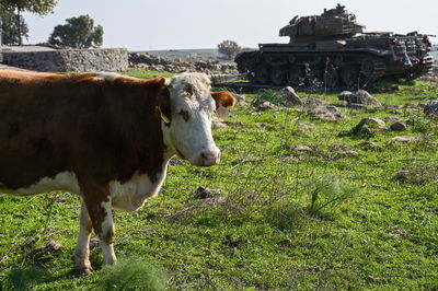 התחזית: הטמפרטורות תהיינה גבוהות מהרגיל; ייתכן טפטוף