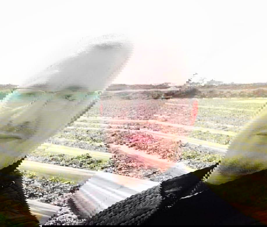 עבד אל-פתאח מעאלי