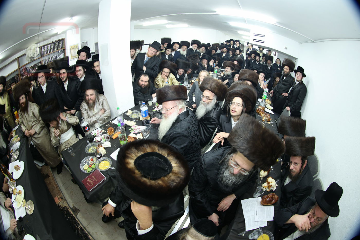 מלווה מלכה וסיום 'תניא' אצל המקובל הגה"צ רבי אביש ציינווירט 