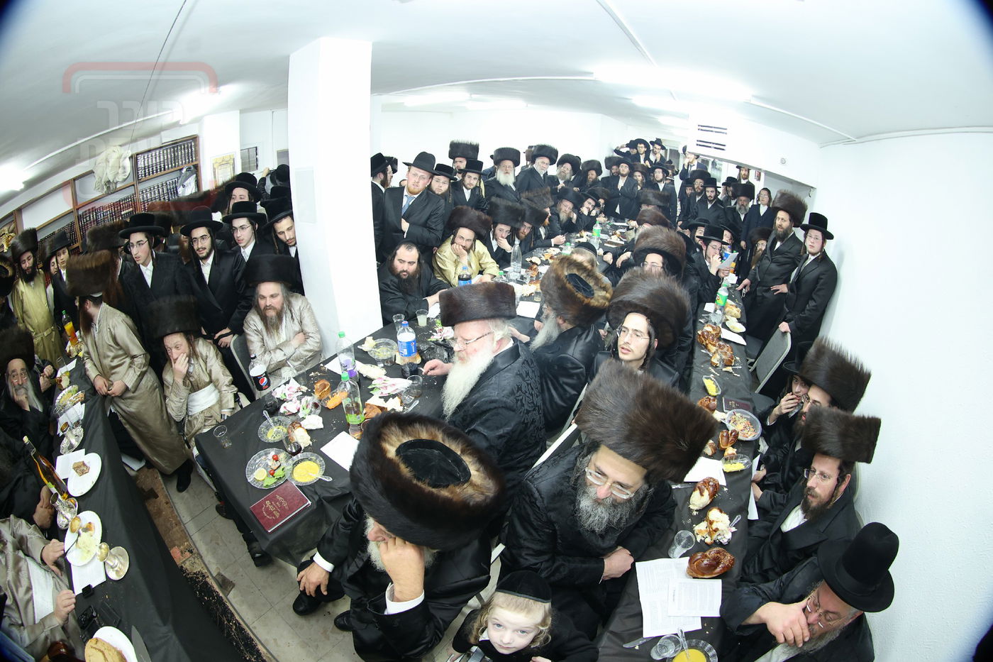 מלווה מלכה וסיום 'תניא' אצל המקובל הגה"צ רבי אביש ציינווירט 