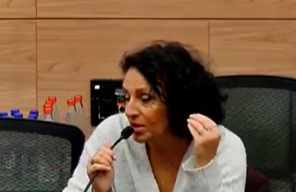 מירב לשם גונן היום בועדה