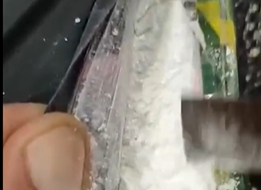 הקוקאין שנתפס