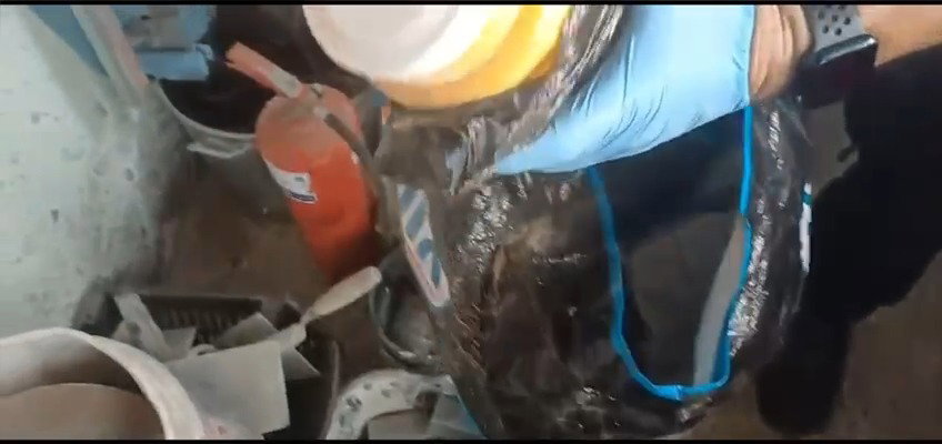 התפיסה המשטרתית בלוד