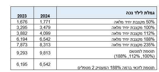 טבלת עדכון לקבצת 'ילד נכה'