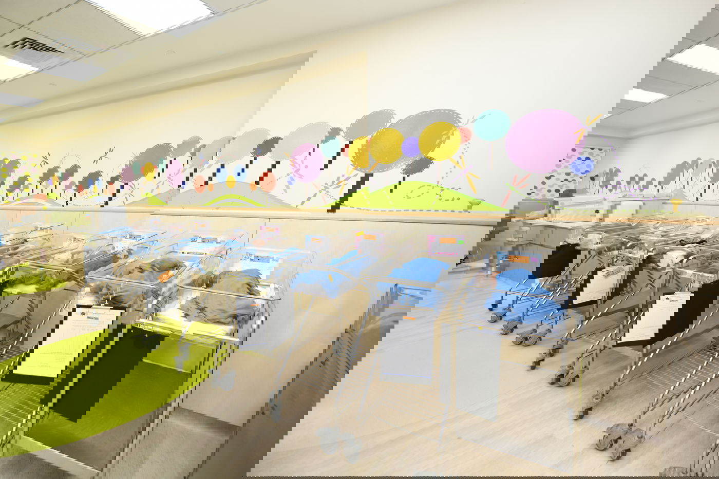 חיים חדשים בעולם- מזל טוב!