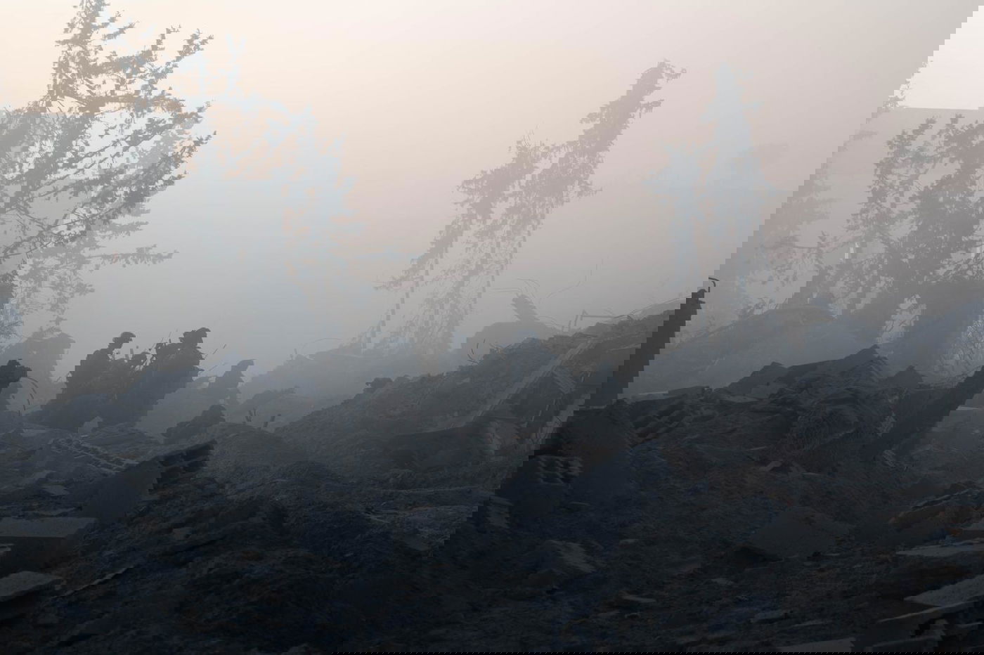 פעילות כוחות צה"ל ברצועת עזה