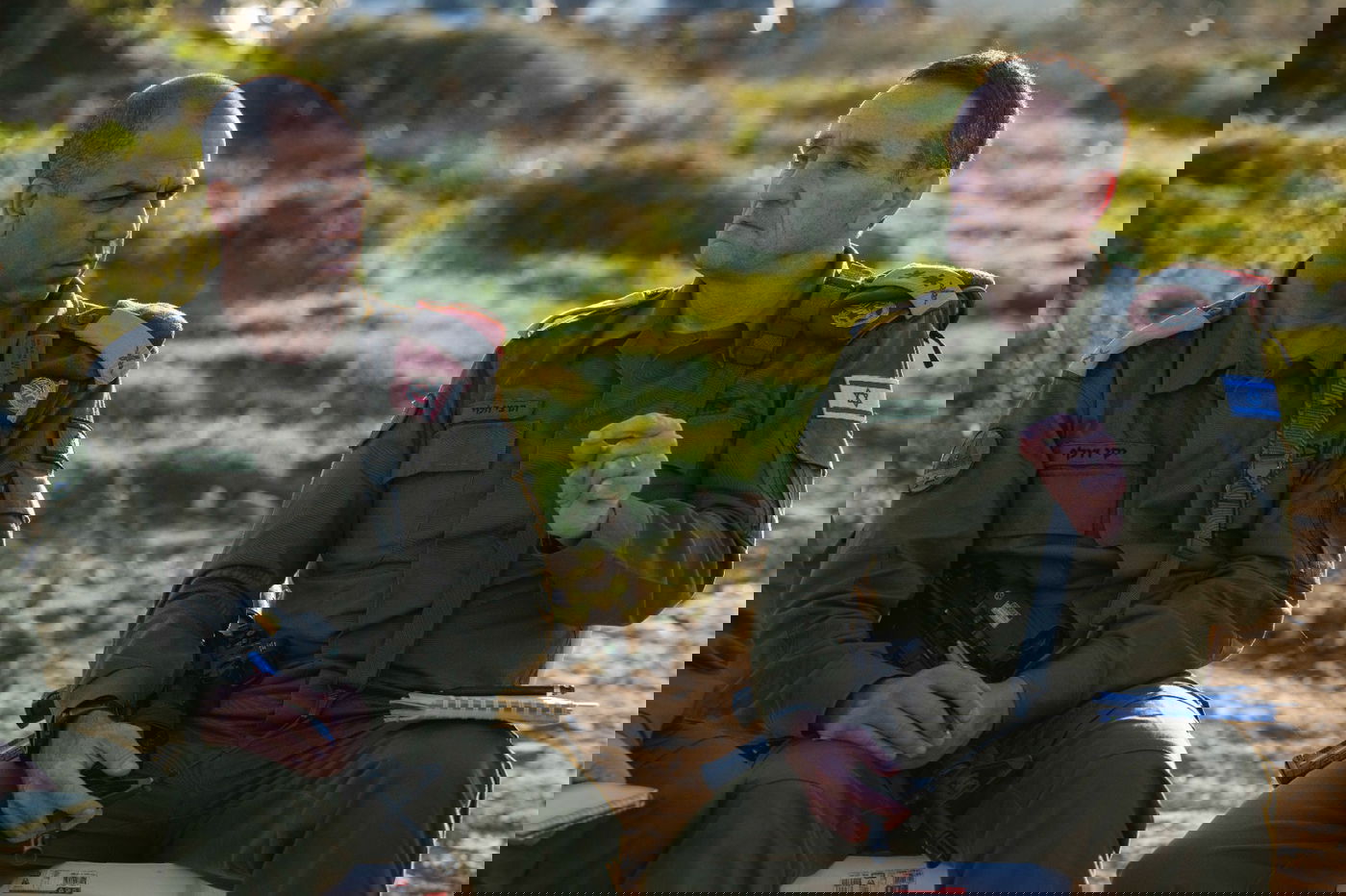 הרמטכ"ל הרצי הלוי, היום