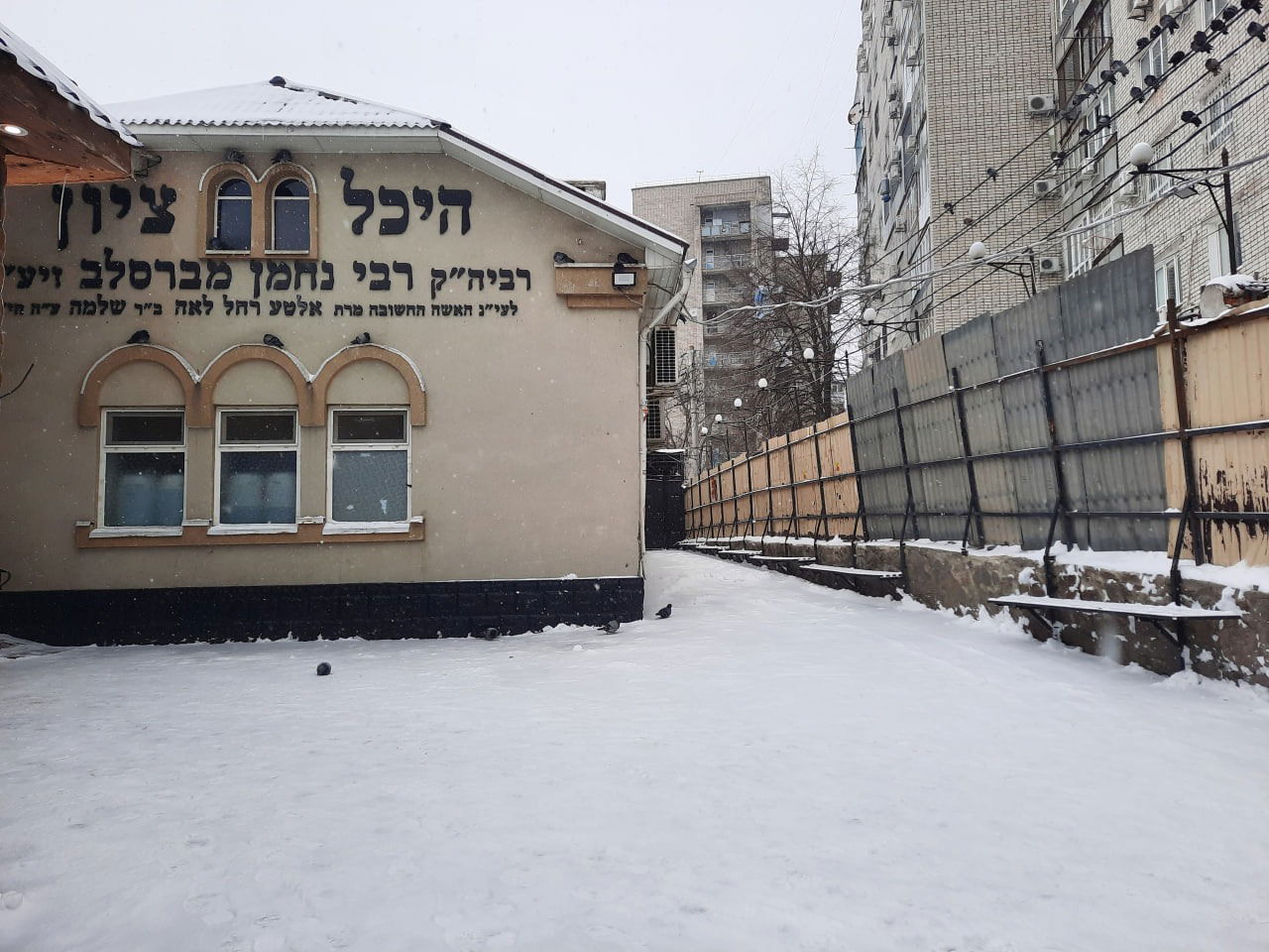 אומן נצבעה בלבן