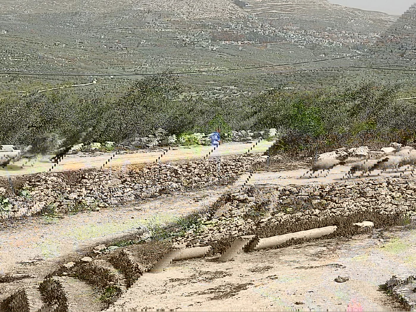 התחזית: היום ומחר יהיה חם מהרגיל; החורף יחזור ברביעי