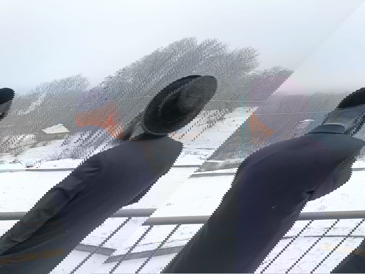 המונים עלו להילולת בעל התניא בהאדיטש | תיעוד