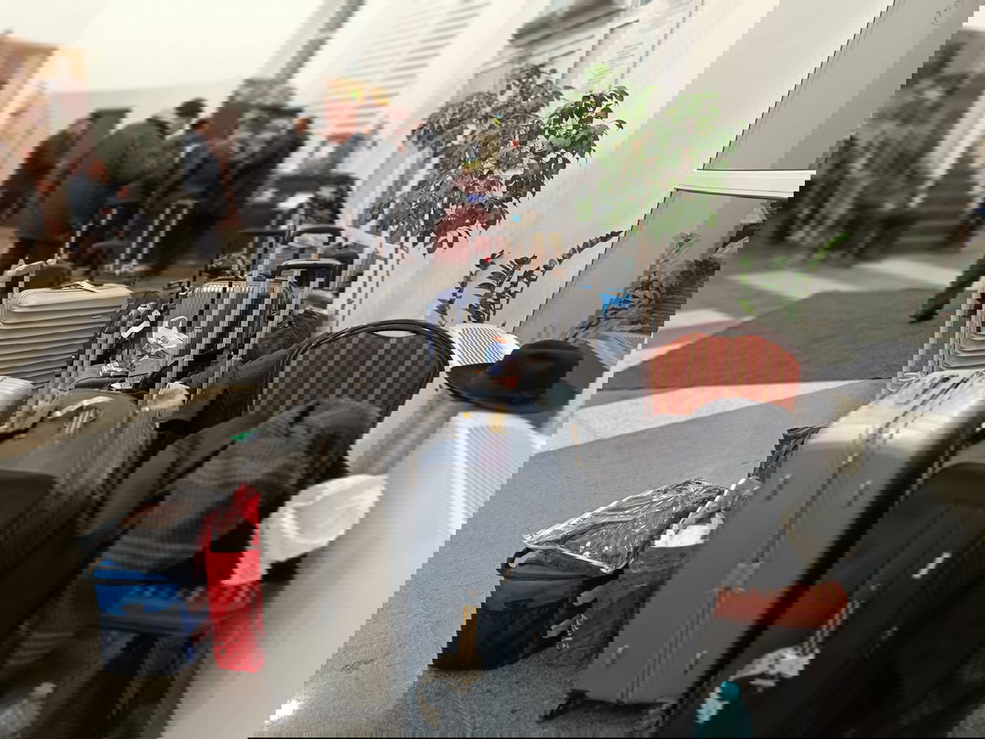 המונים עלו להילולת בעל התניא בהאדיטש | תיעוד