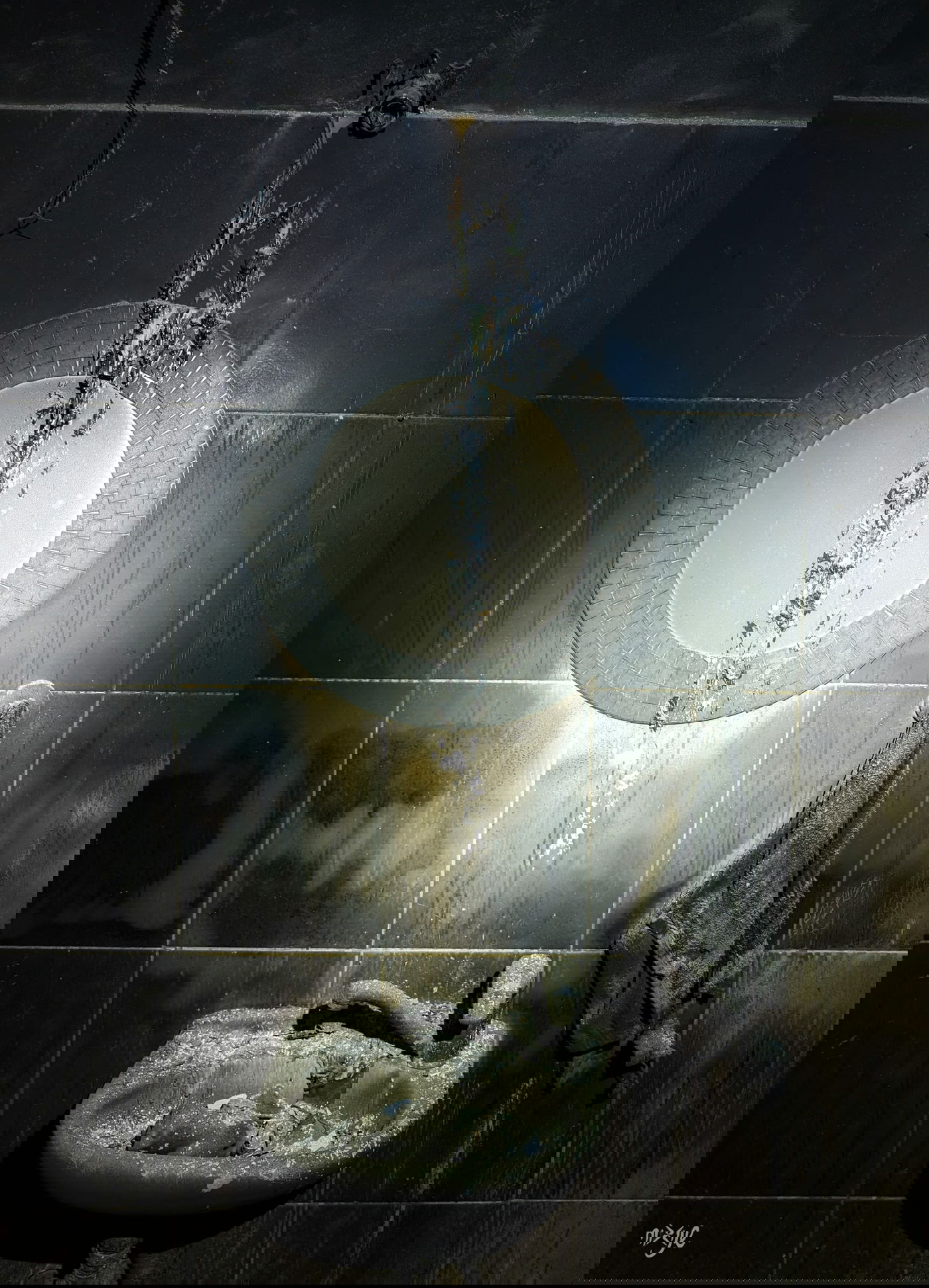 "פעם היו כאן חיים"