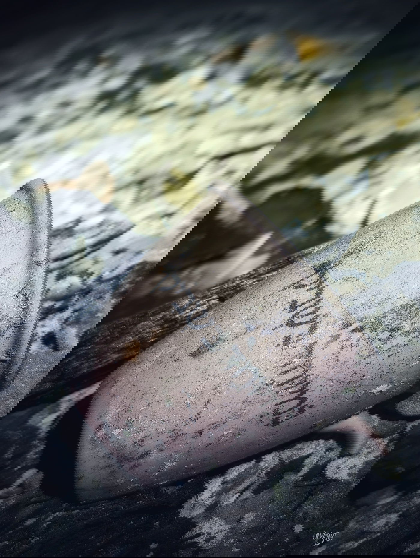 הגע הזה שנוצר "במיוחד בשבילך" הפך לעיי חרבות והכוס נותרה מיותמת