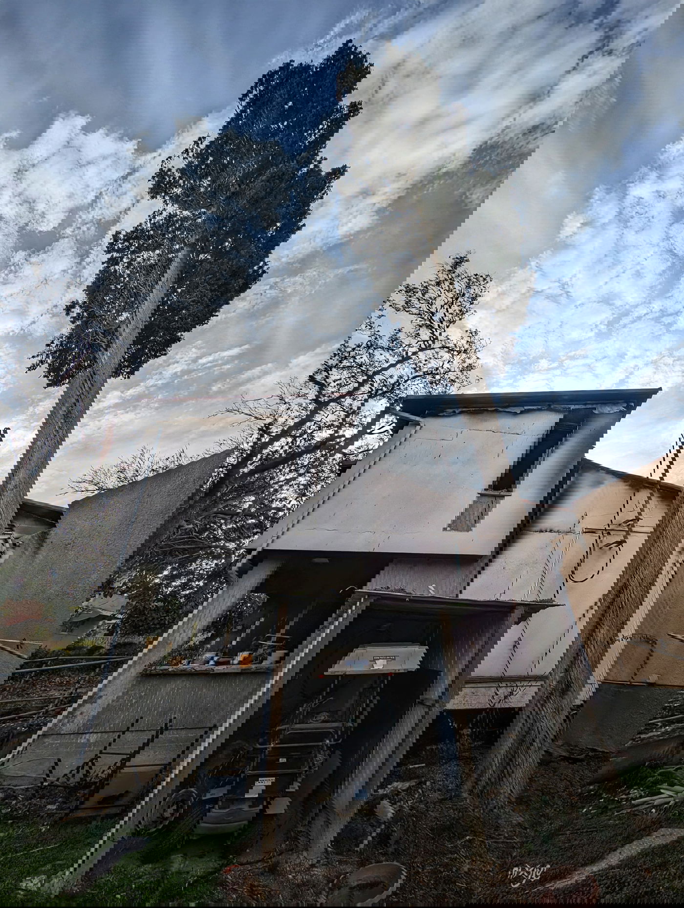 עיי חרבות לצד שמים כחולים ועץ ירוק. עוד יבואו ימים טובים