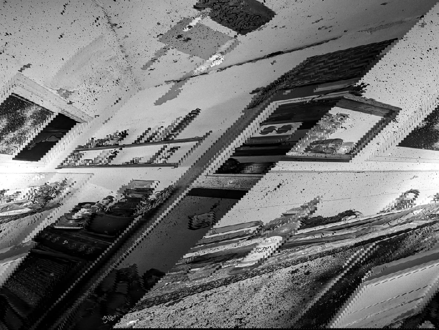 הרס וחורבן שגם השטן מתפעל מיצורים שהשם חיות רק מחמיא להם