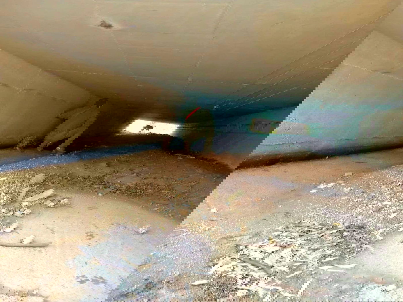 עדיין מחפשים שרידים ונעדרים מהטבח בעוטף עזה | צפו