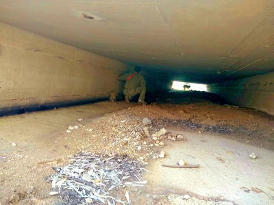 עדיין מחפשים שרידים ונעדרים מהטבח בעוטף עזה | צפו