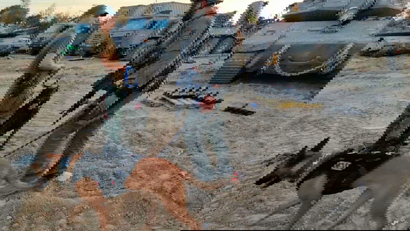 עדיין מחפשים שרידים ונעדרים מהטבח בעוטף עזה | צפו