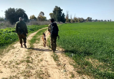 עדיין מחפשים שרידים ונעדרים מהטבח בעוטף עזה | צפו