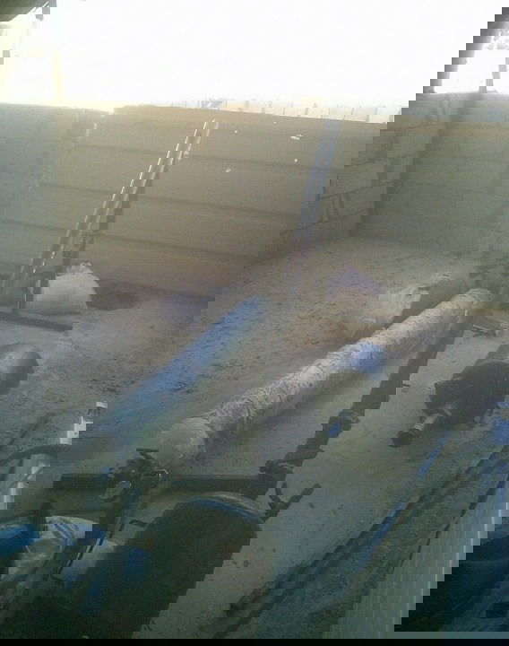 אמצעי הלחימה שאותרו