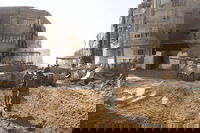 פעילות הכוחות בשטח הרצועה