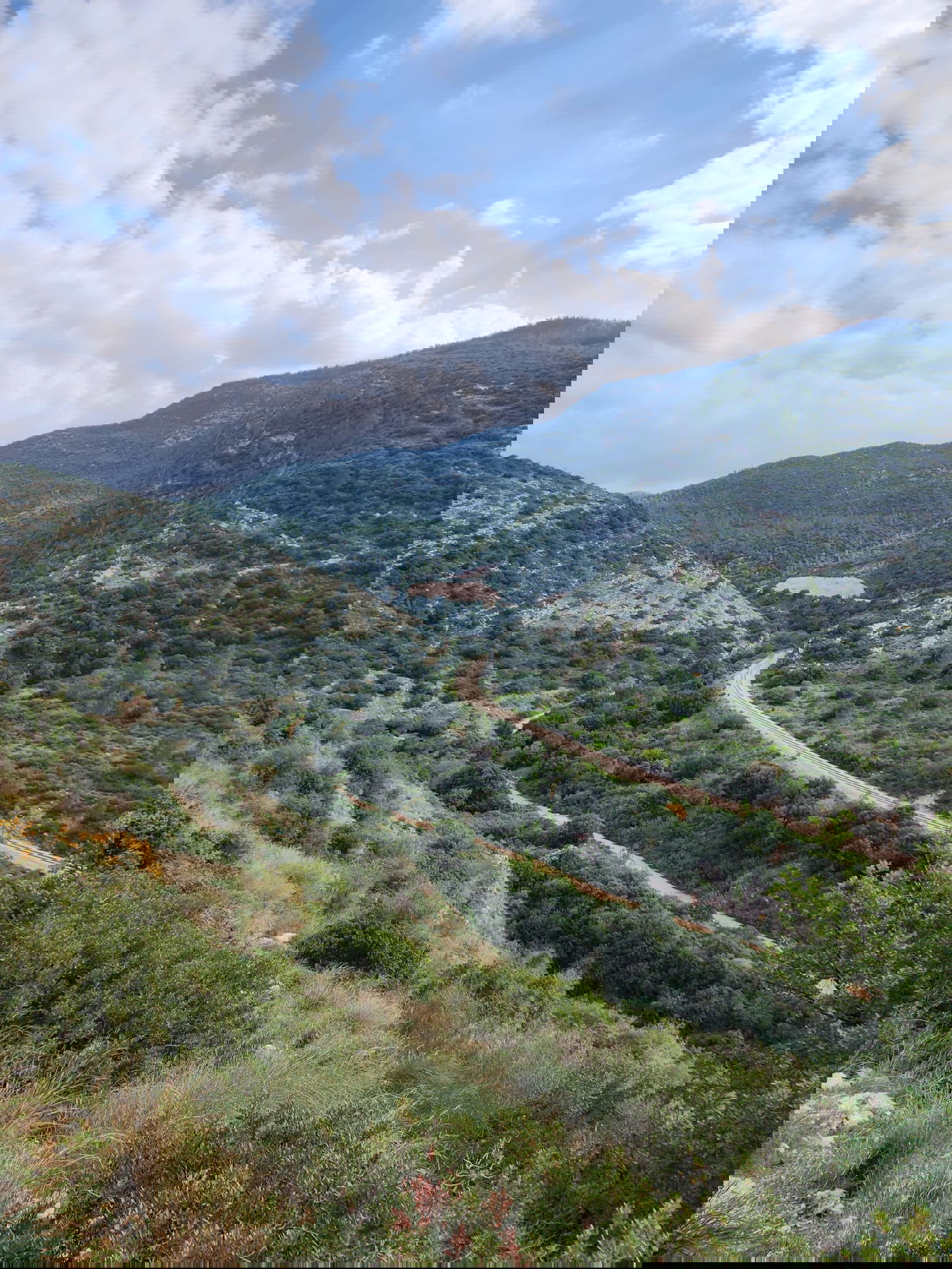 בדרך למערת שמשון הגיבור